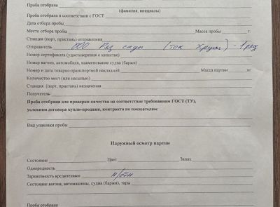 Пшеница